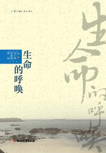 其实我们都不懂