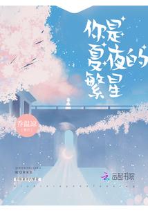 征服系统