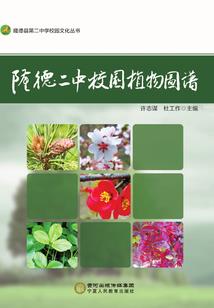 忆梦吟之愿随君行