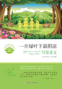 我的盗墓生涯之冥灵秘葬