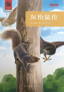 虚空觉醒