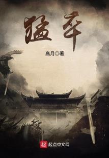 精灵宝可梦之冒险旅程