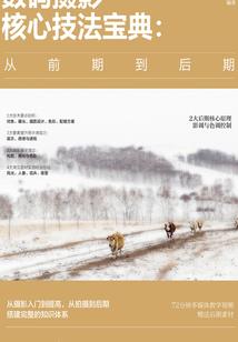 爱与恨情与仇
