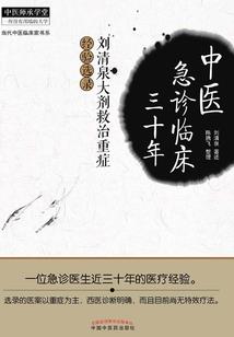 侠盗巅峰