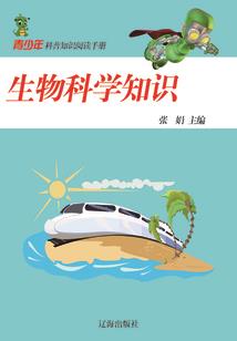 九星天极录